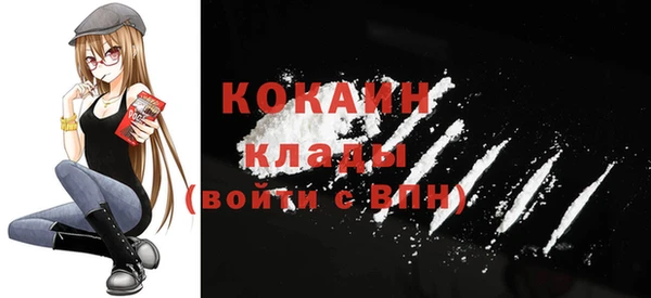 кокс Богородицк