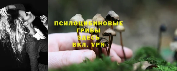 ешки Богданович
