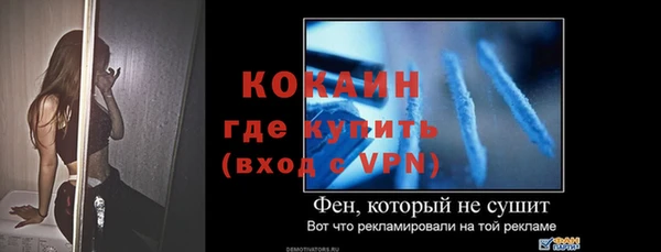 ешки Богданович