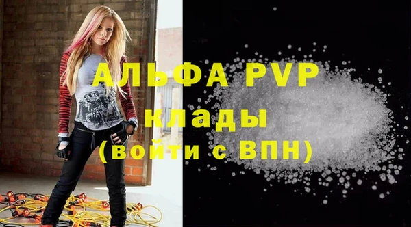 ешки Богданович