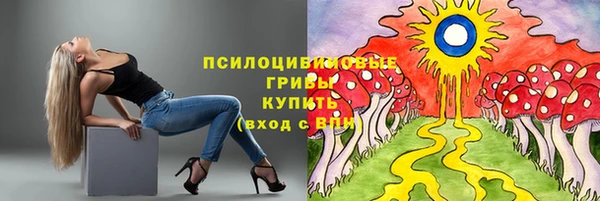 кокс Богородицк